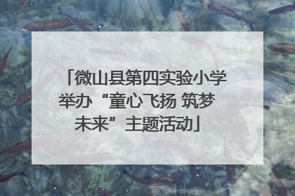 微山县第四实验小学举办“童心飞扬 筑梦未来”主题活动