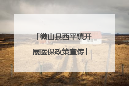 微山县西平镇开展医保政策宣传