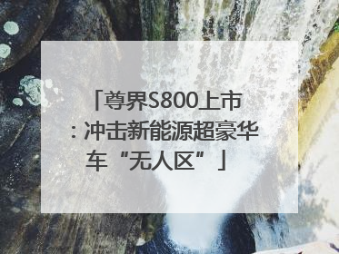 尊界S800上市：冲击新能源超豪华车“无人区”