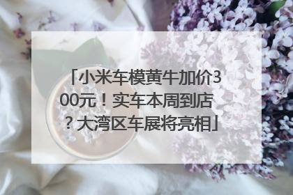 小米车模黄牛加价300元！实车本周到店？大湾区车展将亮相