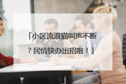 小区流浪猫叫声不断？民情快办出招啦！