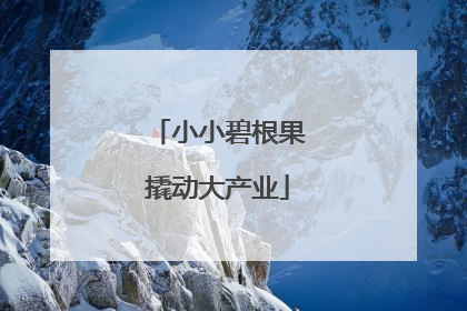 小小碧根果撬动大产业