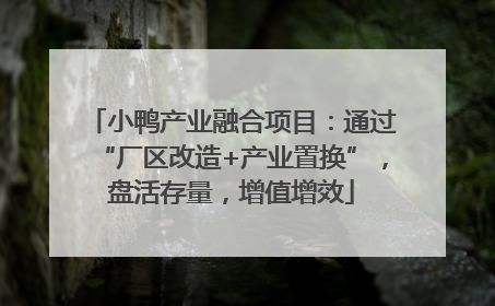 小鸭产业融合项目：通过“厂区改造+产业置换”，盘活存量，增值增效
