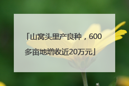 山窝头里产良种，600多亩地增收近20万元