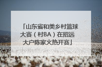 山东省和美乡村篮球大赛（村BA）在招远大户陈家火热开赛