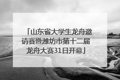 山东省大学生龙舟邀请赛暨潍坊市第十二届龙舟大赛31日开幕