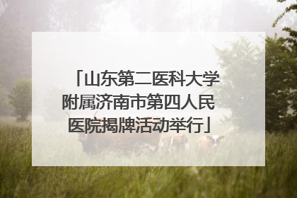 山东第二医科大学附属济南市第四人民医院揭牌活动举行