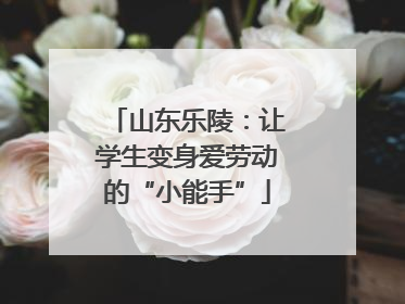 山东乐陵：让学生变身爱劳动的“小能手”