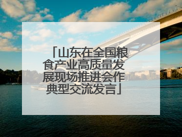 山东在全国粮食产业高质量发展现场推进会作典型交流发言