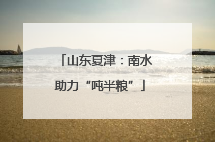 山东夏津：南水助力“吨半粮”