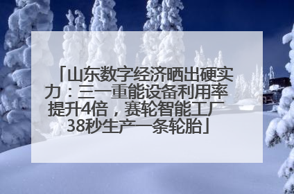山东数字经济晒出硬实力：三一重能设备利用率提升4倍，赛轮智能工厂38秒生产一条轮胎