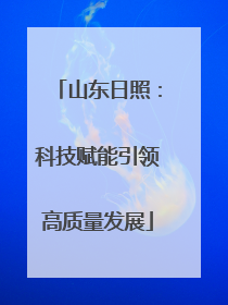 山东日照：科技赋能引领高质量发展