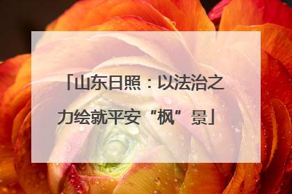 山东日照：以法治之力绘就平安“枫”景