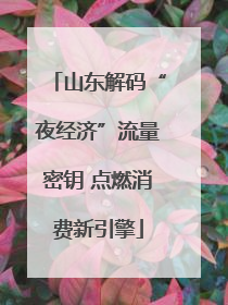 山东解码“夜经济”流量密钥 点燃消费新引擎