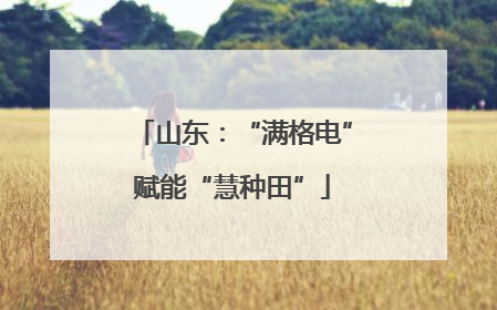 山东：“满格电”赋能“慧种田”
