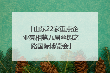 山东22家重点企业亮相第九届丝绸之路国际博览会