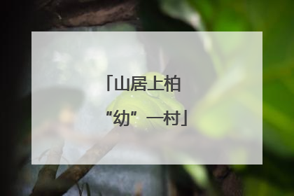 山居上柏 “幼”一村