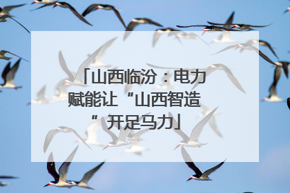 山西临汾：电力赋能让“山西智造”开足马力