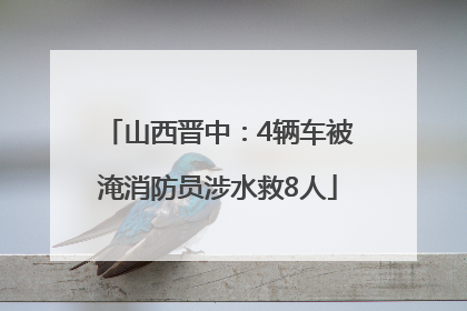 山西晋中：4辆车被淹消防员涉水救8人