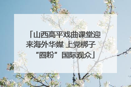 山西高平戏曲课堂迎来海外华媒 上党梆子“圈粉”国际观众