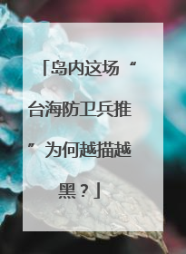 岛内这场“台海防卫兵推”为何越描越黑？