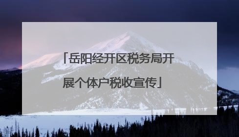 岳阳经开区税务局开展个体户税收宣传