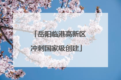 岳阳临港高新区冲刺国家级创建