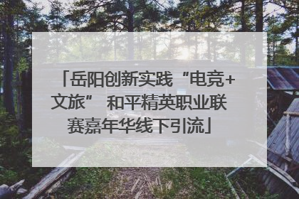 岳阳创新实践“电竞+文旅” 和平精英职业联赛嘉年华线下引流