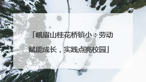 峨眉山桂花桥镇小：劳动赋能成长，实践点亮校园