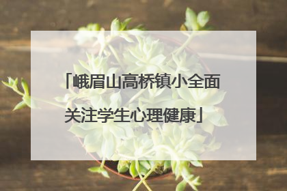 峨眉山高桥镇小全面关注学生心理健康