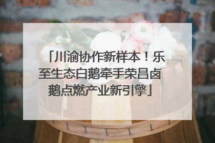 川渝协作新样本！乐至生态白鹅牵手荣昌卤鹅点燃产业新引擎