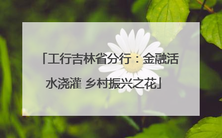 工行吉林省分行：金融活水浇灌 乡村振兴之花