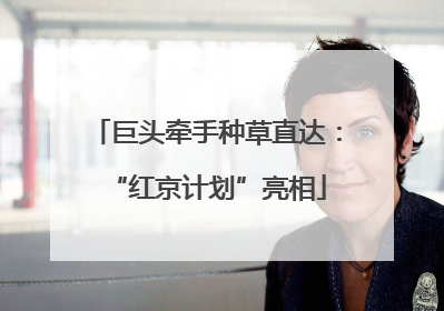 巨头牵手种草直达：“红京计划”亮相