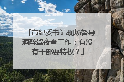 市纪委书记现场督导酒醉驾夜查工作：有没有干部耍特权？