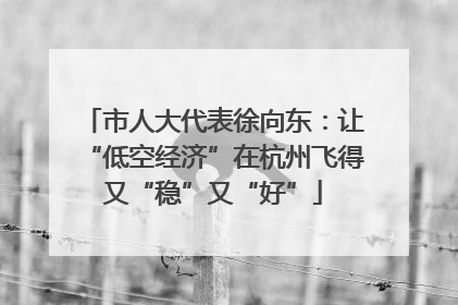 市人大代表徐向东：让“低空经济”在杭州飞得又“稳”又“好”