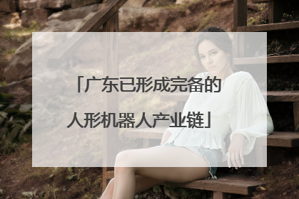 广东已形成完备的人形机器人产业链