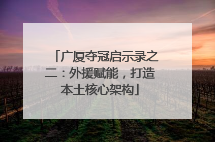 广厦夺冠启示录之二：外援赋能，打造本土核心架构