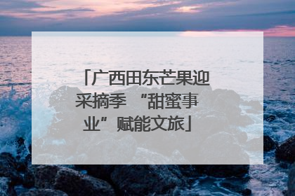 广西田东芒果迎采摘季 “甜蜜事业”赋能文旅