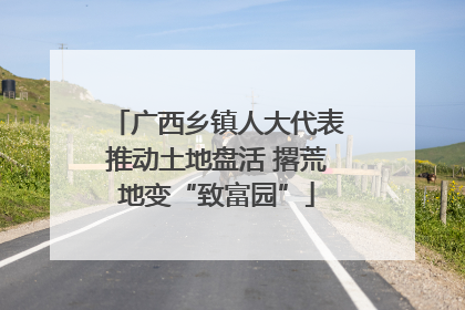 广西乡镇人大代表推动土地盘活 撂荒地变“致富园”