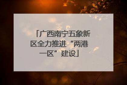 广西南宁五象新区全力推进“两港一区”建设