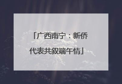 广西南宁：新侨代表共叙端午情