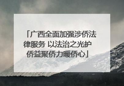 广西全面加强涉侨法律服务 以法治之光护侨益聚侨力暖侨心