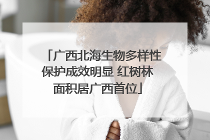 广西北海生物多样性保护成效明显 红树林面积居广西首位