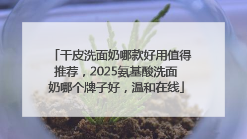 干皮洗面奶哪款好用值得推荐，2025氨基酸洗面奶哪个牌子好，温和在线