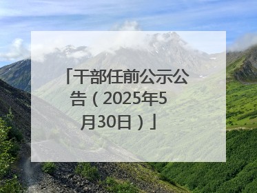 干部任前公示公告（2025年5月30日）