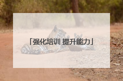 强化培训 提升能力