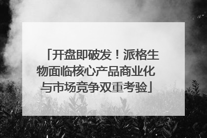 开盘即破发！派格生物面临核心产品商业化与市场竞争双重考验
