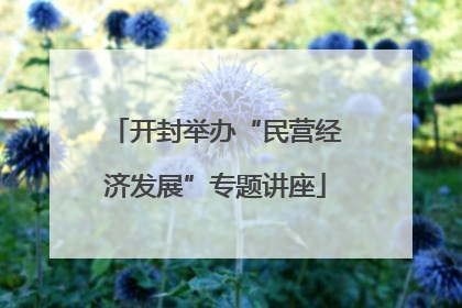 开封举办“民营经济发展”专题讲座