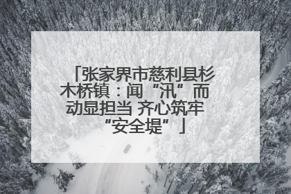 张家界市慈利县杉木桥镇：闻“汛”而动显担当 齐心筑牢“安全堤”
