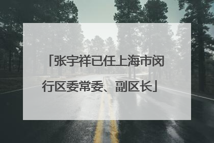 张宇祥已任上海市闵行区委常委、副区长